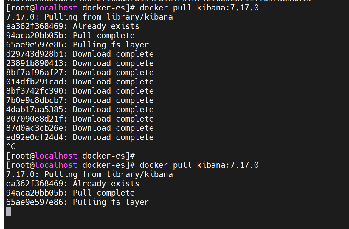 Docker pulling fs layer csdn 