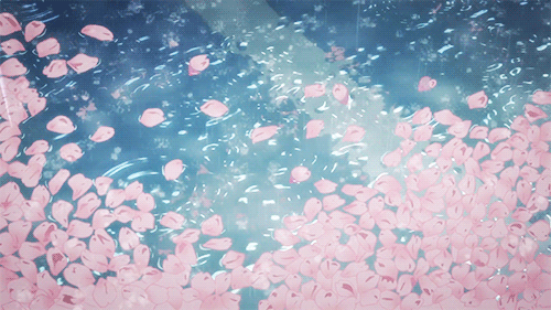 500_281gif 动态图 动图