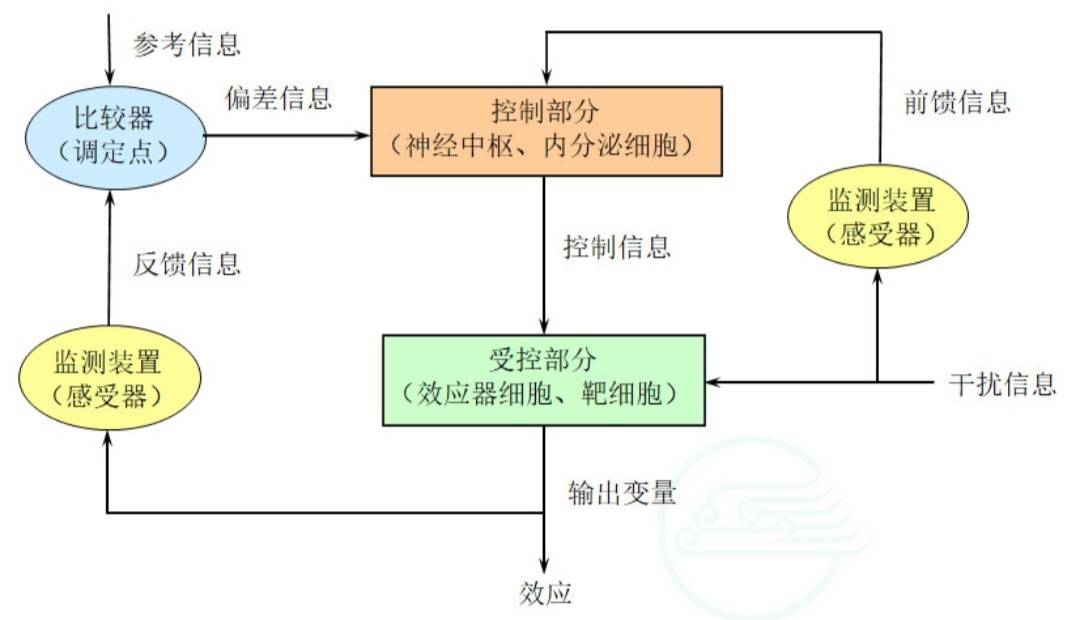 人体解剖生理学——绪论|“朝闻道”知识分享大赛-CSDN社区