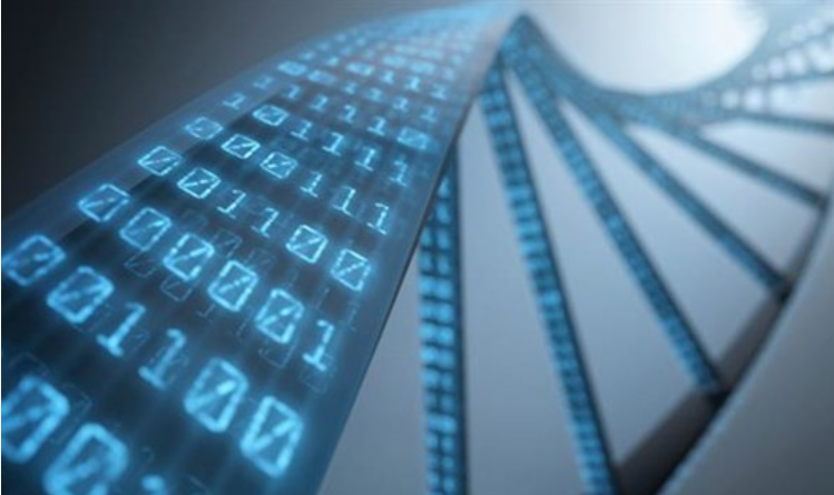 DNA coding