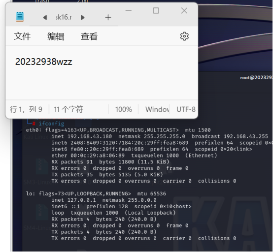 20232938王治中 2023-2024-2 《网络攻防实践》实践11报告-CSDN社区